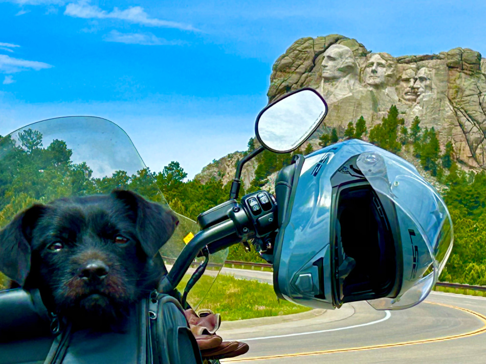 Hazel at Mt. Rushmore National Monument